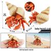 Ocean Crab Simulation Toy Set: Includes Hermit, Swimming, and Three-Spot Plastic Models