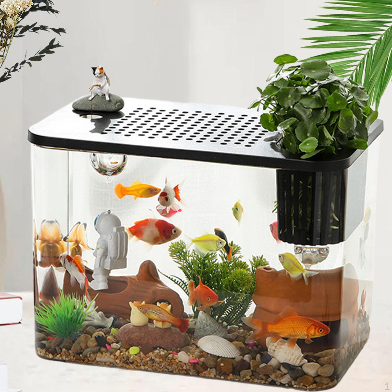 Reptile Habitat for Amphibians and Fish Black Lid