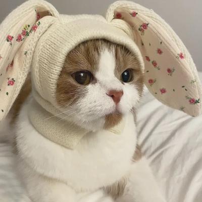 Niedliche Hasenohren Haustier Strickmütze für Herbst Winter Warm Katzen Niedliche Hunde Dekoration Haustier Hundekostüm Hundehut Hunde Accessoires