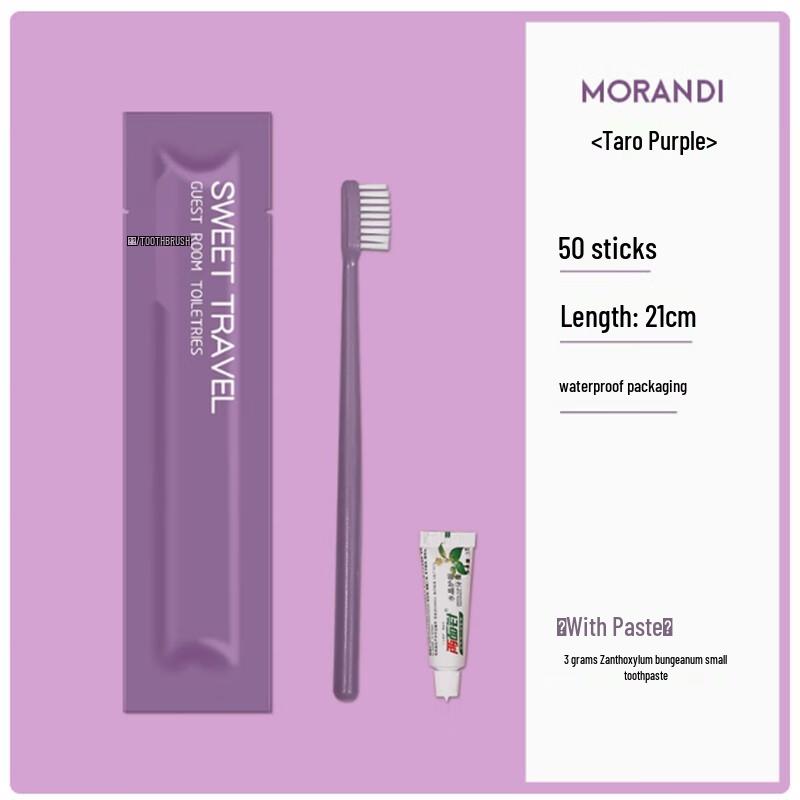 Disposable Hotel Toothbrush & Toothpaste Set