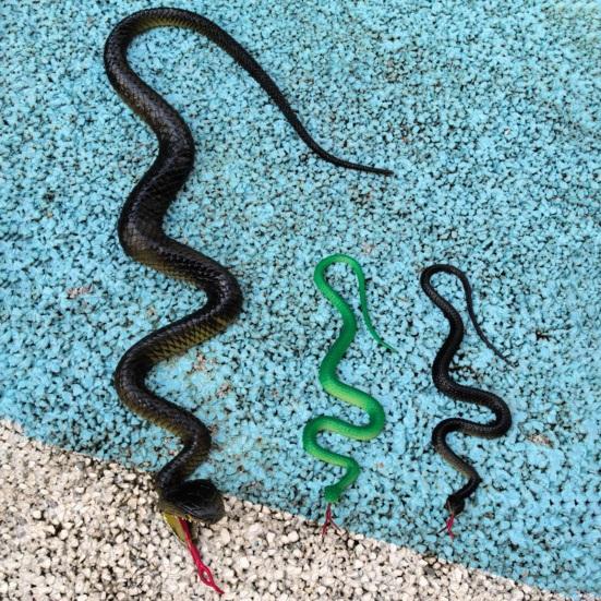 Yousheng Fake Snake Toy, Realistic Rubber Snake with Tongue Out, 17.7-39.4 Inch Lifelike Garden Decor, Bird Deterrent Stress Relief Prank Gift