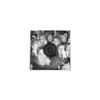 C Mon You Know Édition Limitée Exclusivité Vinyle Transparent