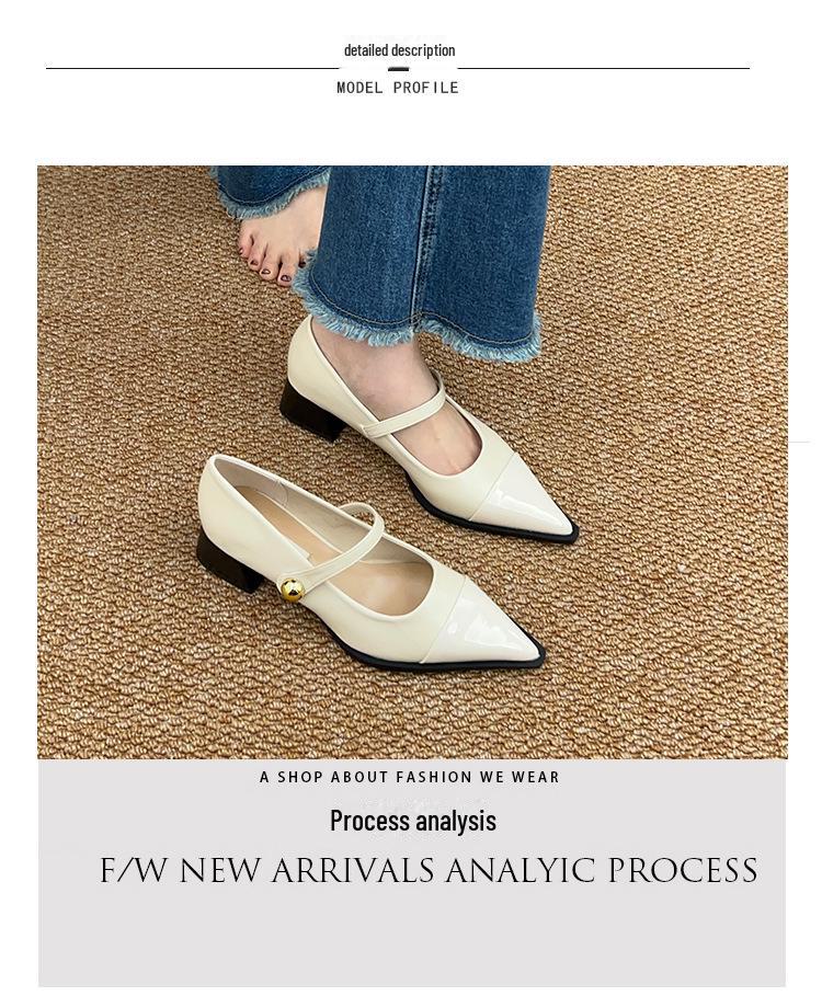 2024 Spring French Retro Pointed Toe Medium High Heels for Women