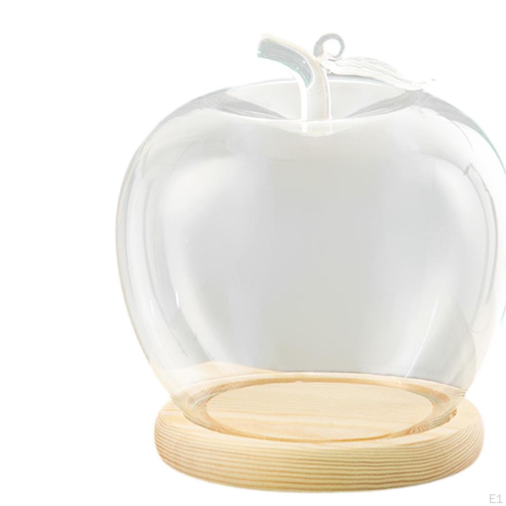 Klare Glaskuppel-Glasdose Durchmesser 3,5 Zoll DIY Bastel-Ausstellung Holzsockel zur Dekoration Figuren Heimdeko