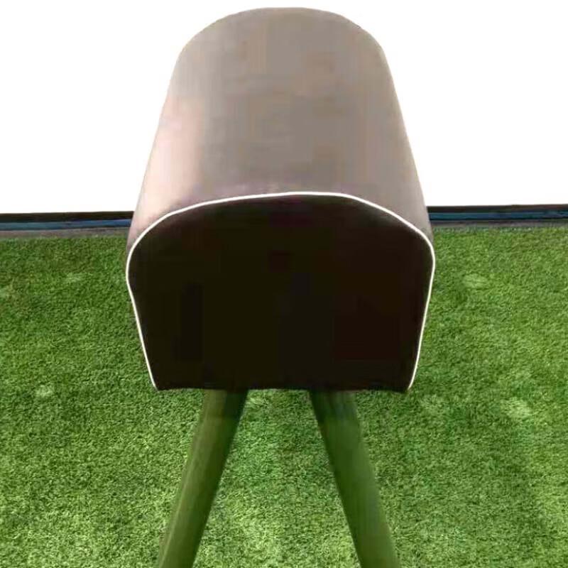 Zhong'aoda Förstärkt Hopphäst