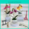 Artificial Pot Phalaenopsis Flower Bonsai For Event Decoration Prop Home And