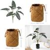 Planta Artificial Estilo Folha de Alocasia Odora com Cesta Artesanal Para Decoração de Casa