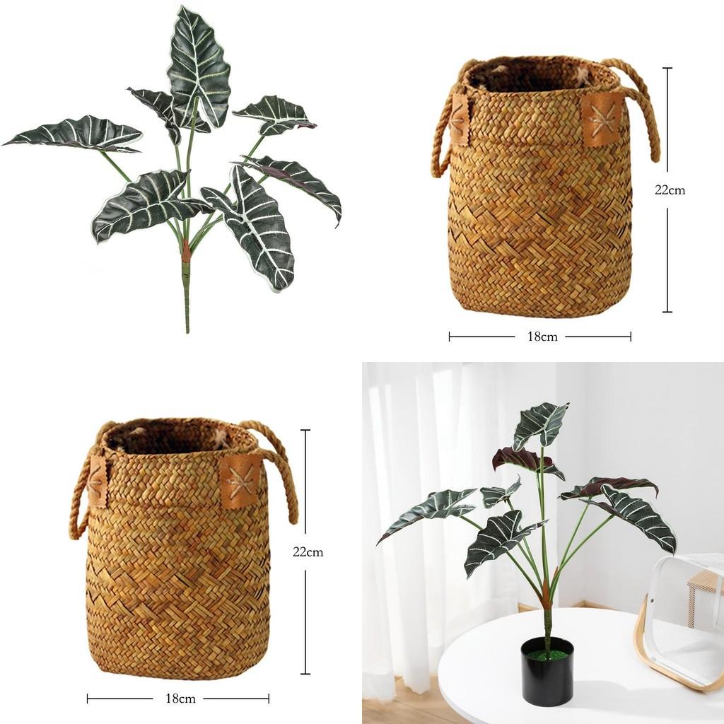 Planta Artificial Estilo Folha de Alocasia Odora com Cesta Artesanal Para Decoração de Casa