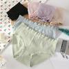 4Pcs Mid Waist Seamless Briefs Cotton Crotch Underwear for Women Fashion Lace Bowknot Panties  Lady