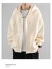 Men's Solid Color Fleece-Lined Zip-Up Hoodie, Spring & Autumn, Loose Fit, Versatile Hong Kong Style