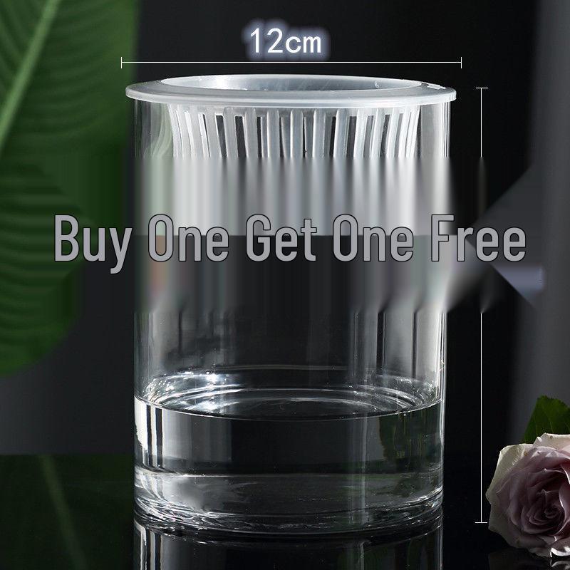 Hydroponic Glass Cylinder Vase for Pothos & Peace Lily - Transparent Water Culture Container with Free Shipping.