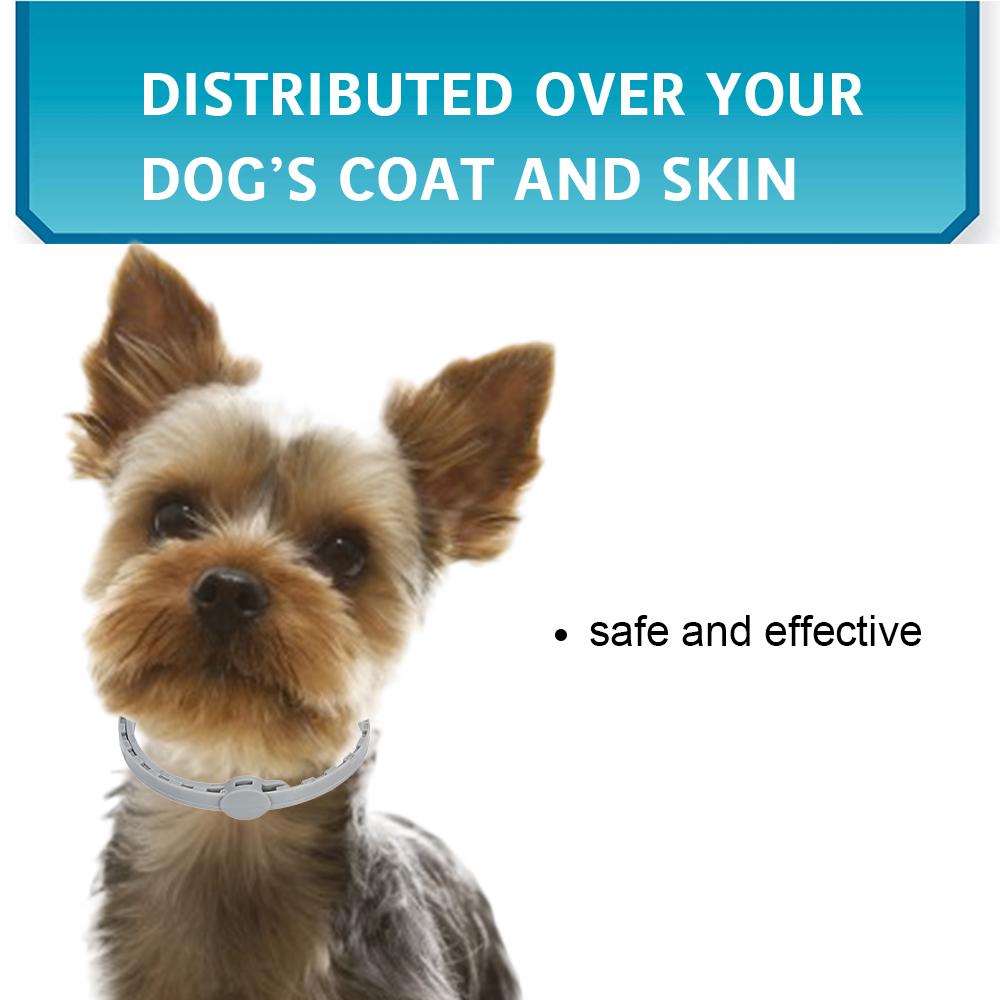 Dogs Flea and Tick Collar Treatment Prevention Natural Essential Oil Adjustable Waterproof 8 Months