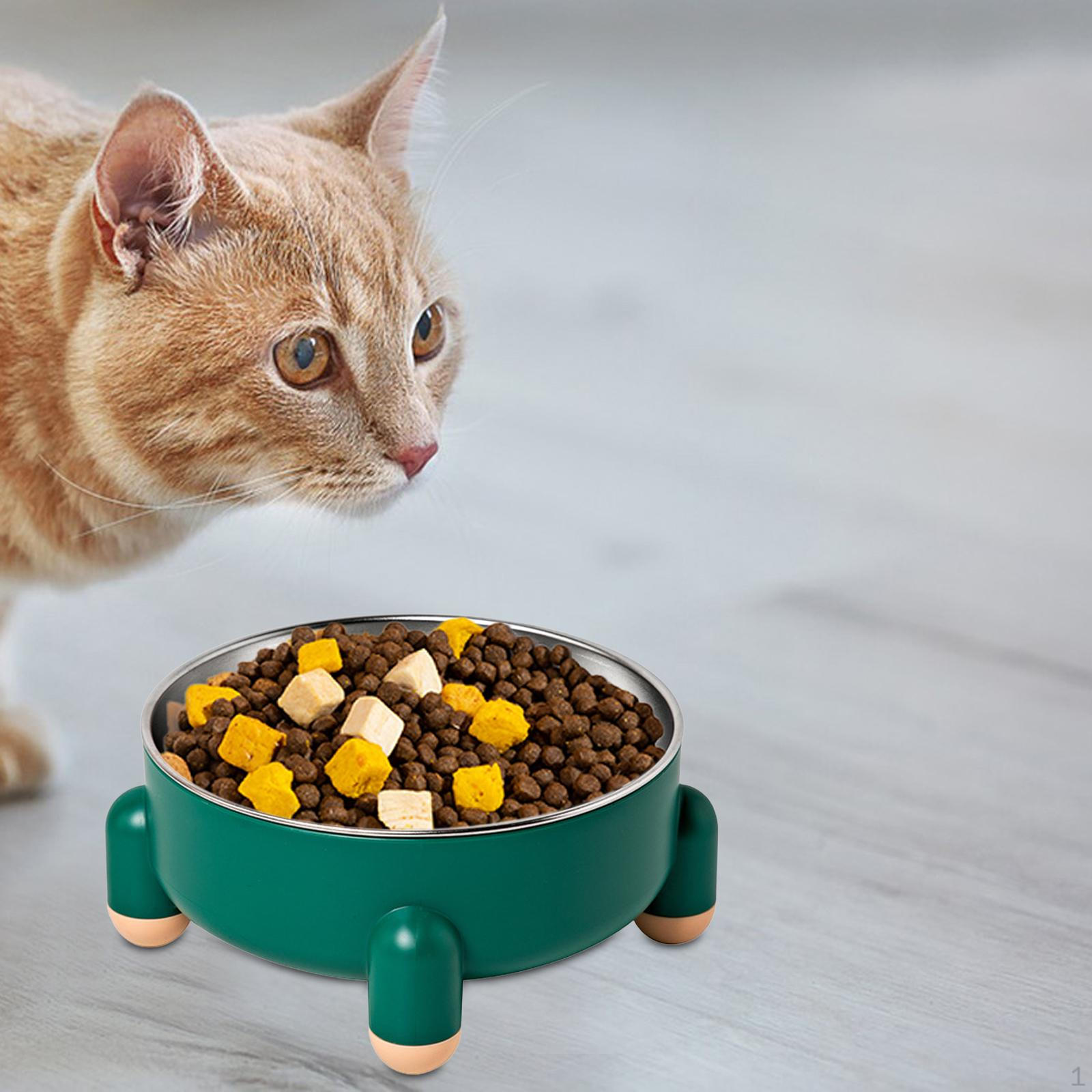 

Cat Bowl Pet Feeder Detachable for Large Dogs Puppy зелёный