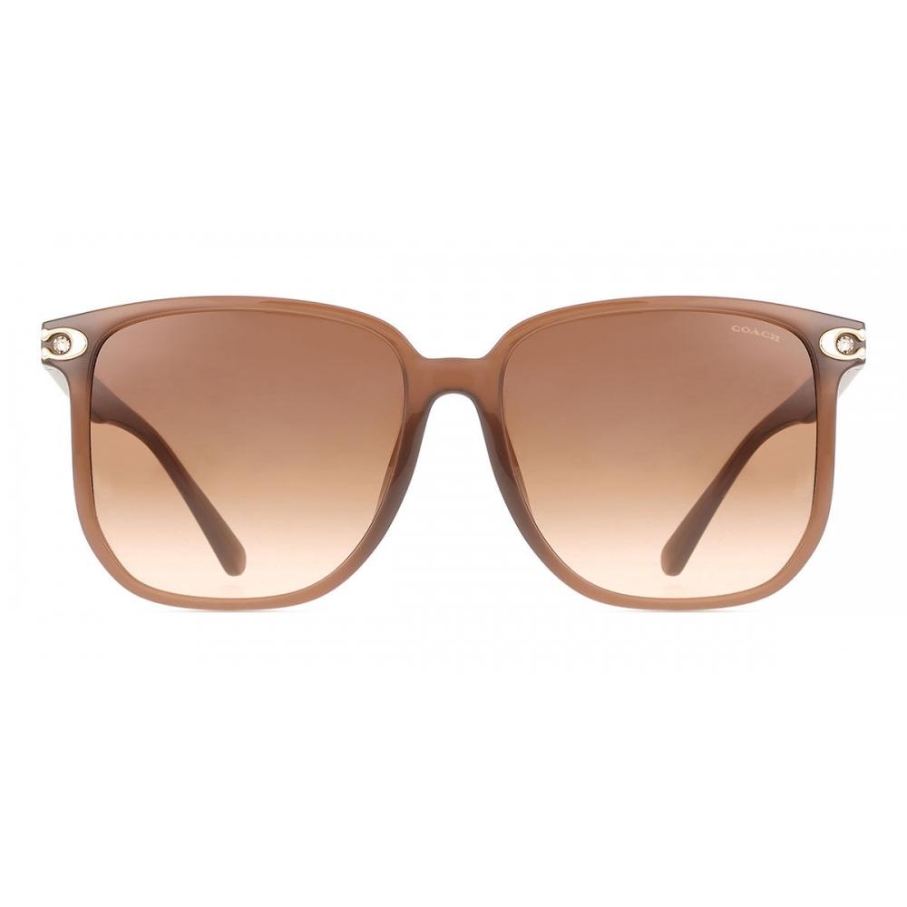 

Coach Hc8413bd Cw419 Asian Fit 580874 Women Sunglasses 58-16-150