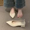 Versatile Light Mouth Thick Heel with Skirt Temperament Ladyshoes Spring and Summer 2025 New French Evening Wind Pointed Single Shoes Women's Shoes