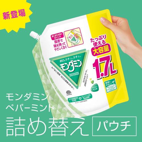 Modern Mint Mouthwash Refill, Peppermint Mouthwash, for Bad Breath Care, Pleasant Stimulation, Large Capacity Pouch, 1.7L