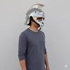 Roman Gladiator Helmet Silver, Handmade Maximus Armor Replica, Wearable Steel Helmet for Cosplay, LARP, Display Historical Fans