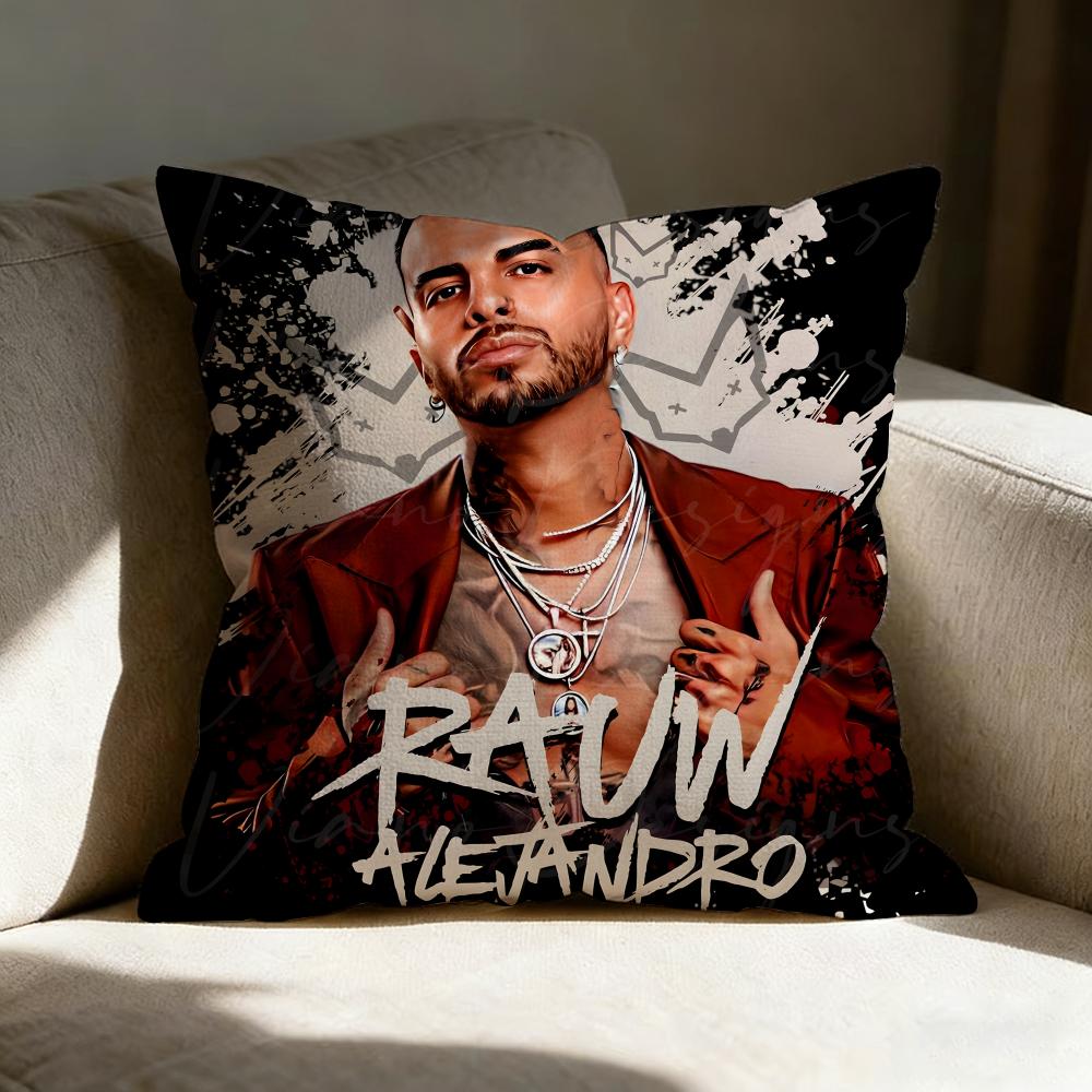 Raul Aalejandro Pillow Case Pillowcase Doublesided Printed Sofa Cushion Bedroom Headboard Pillow