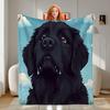 Black Labrador Puppy Pattern Flannel Printed Blanket Suitable for All Seasons Suitable for Living Room Office Sofa and Travel