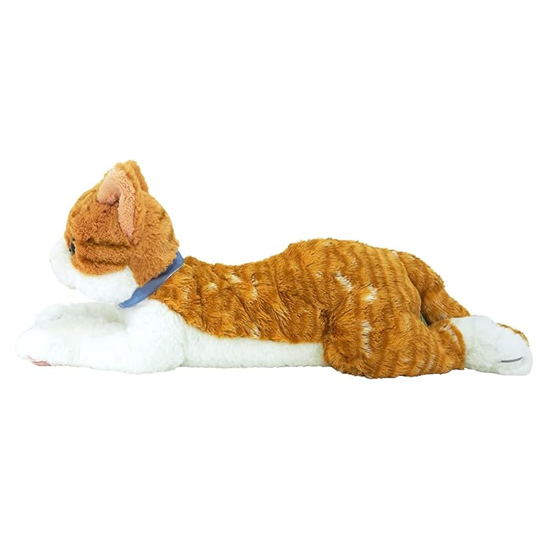 Sun Lemon Lap Cat Chashiro Medium 16 X 47 X 18cm Plush Animal Cute Cat P-7802