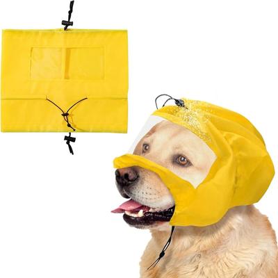 Honden – Hondenproducten