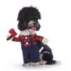 Christmas Pet Costume: Bat, Pirate, Clown, Delivery Outfit for Dogs