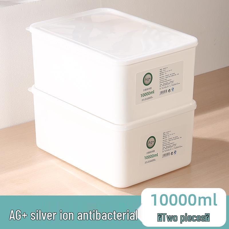 Large Capacity Fresh-Keeping Storage Box for Steamed Buns and Dumplings