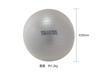 TANITA Size Gym Ball TS-962 Silver