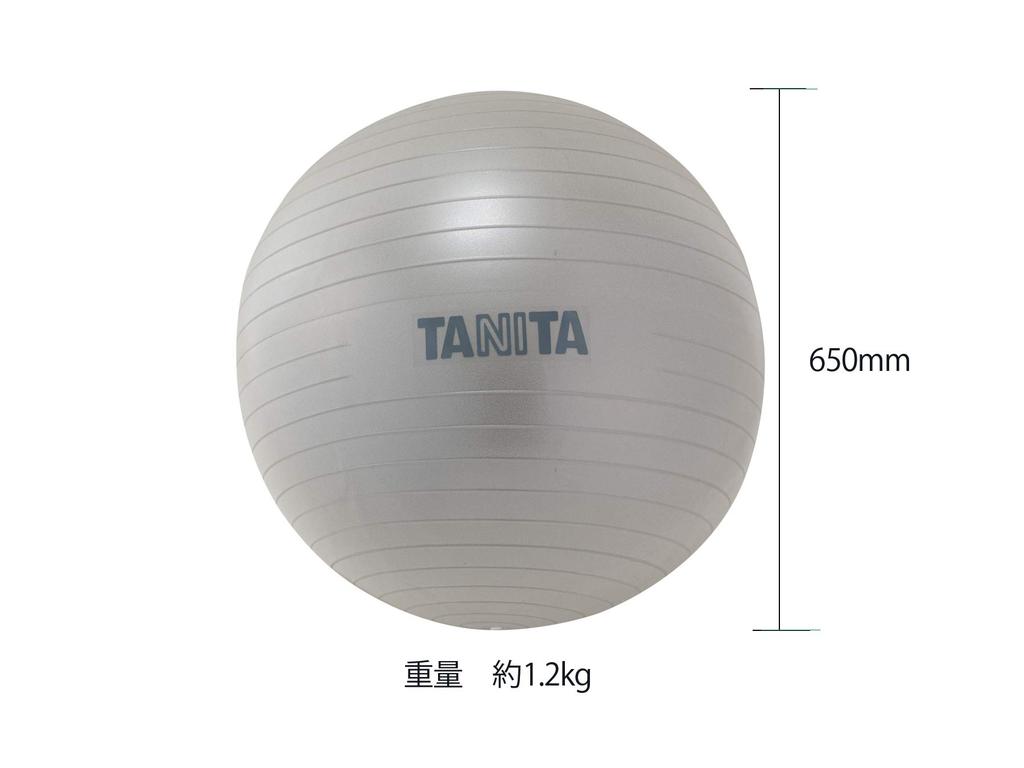 TANITA Size Gym Ball TS-962 Silver