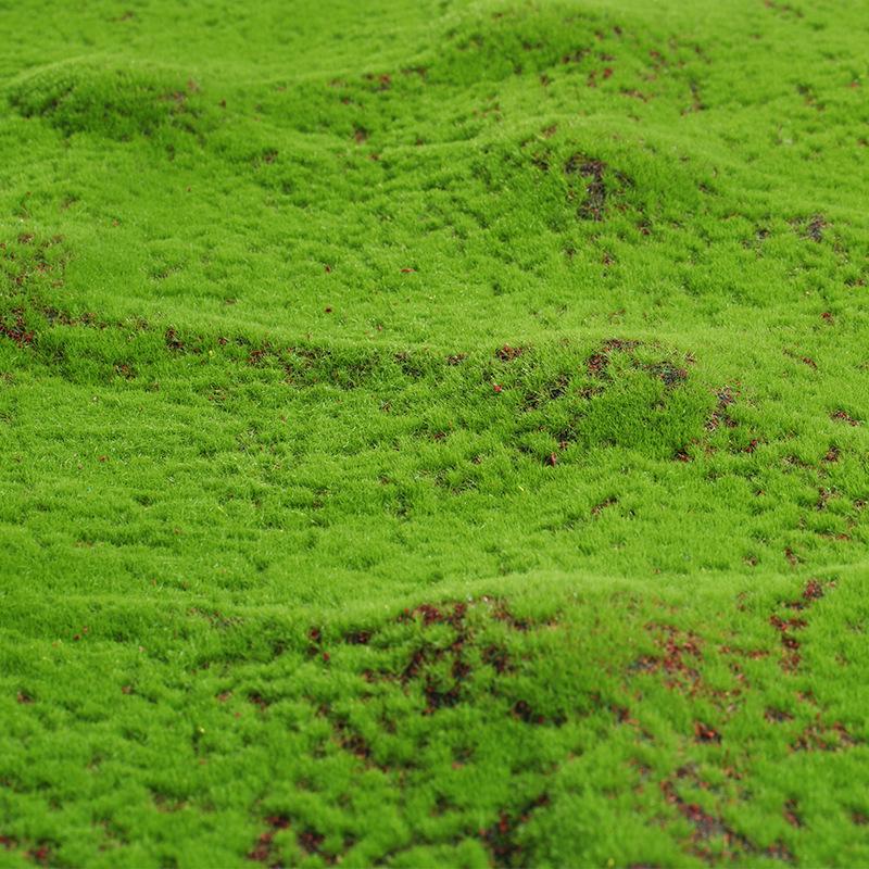 Artificial Green Moss Turf for Landscape and Bonsai Decor