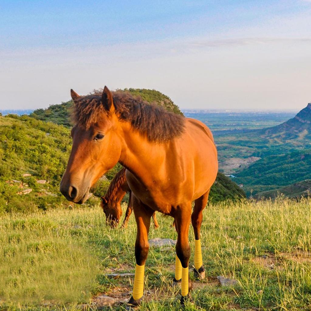 4pcs Horse Leg Wraps Comfortable Soft Fce Wraps Equestrian Leg Bandages Stable Supplies