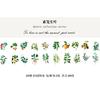40pcs Natural Stickers Journaling Stationery Transparent PET Flowers Leaves Plants Deco Stickers