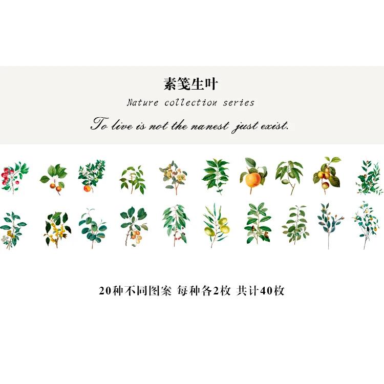 40pcs Natural Stickers Journaling Stationery Transparent PET Flowers Leaves Plants Deco Stickers