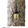 Takara Tomy Ania AS-38 Hercules Beetle Insect Toy for Ages 3 and Up