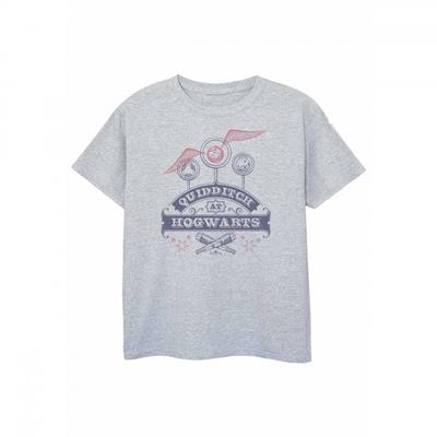 Girls Quidditch At Hogwarts T-Shirt