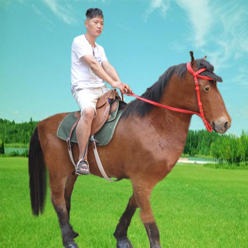 Akhal-Teke War Horse Genuine Leather Model for Exhibitions