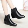 2025 New Autumn Winter Warm Short Boots Women Black Solid Ankle Boots for Heel Zip Point Toe Fleece Wedge Mother Cotton Shoe