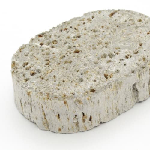 Towa Sangyo Heel Care SF Natural Pumice Stone