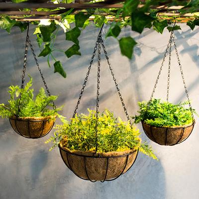 Coconut Brown Round Iron Chain Hanging Basket Creative Flowerpot Holder Plant Hanger Basket Flower Pot Outdoor Garden Decoration