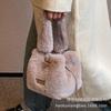 Plüschtasche Damen 2025 neu Herbst und Winter Nische leichter Luxus High-End Handtasche Schulter Crossbody Eimertasche