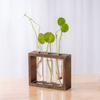 Creative Hydroponic Wood Frame Wall Mounted Tabletop Bonsai New Hydroponic Plants Container