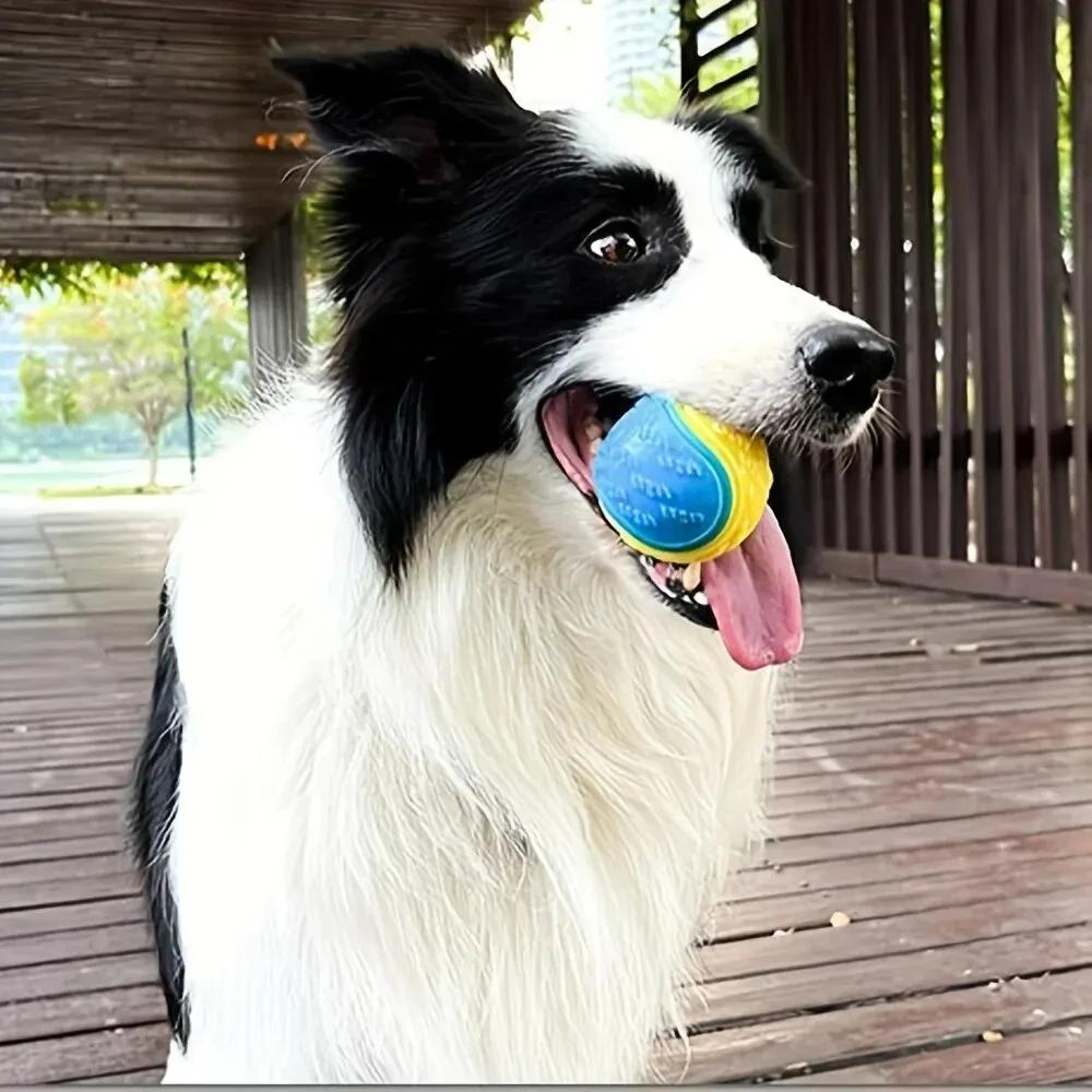 1/2pcs Dog Toy Durable Chew Ball Pet Grinding Teeth Toys Dog Squeaky Balls Pet Interactive Toy Chew Pet Supplies Dog Accessories