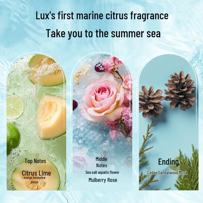 Lux Sea Salt Scented Refreshing Shower Gel