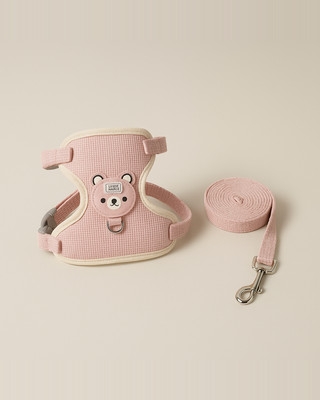 საყვარელი ძაღლის სამაჯური ლეშები პატარა შინაური ცხოველი კატა ძაღლის საყელო მკერდის სამაჯური ძაღლის თოკი ლეკვი თოკი პატარა შინაური ცხოველის აღკაზმულობა შინაური ცხოველების წყაროები