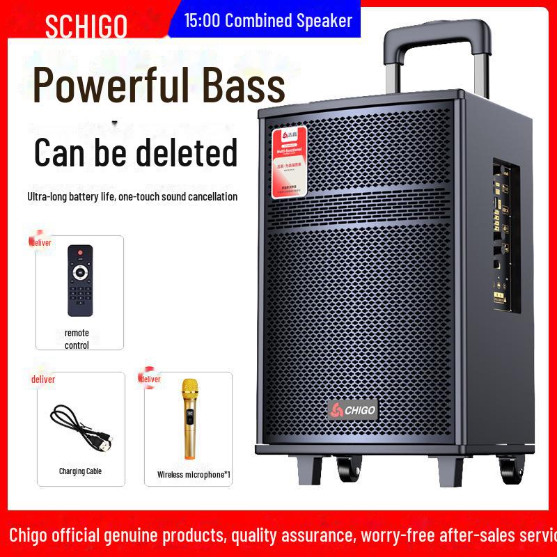Chigo High-Power Outdoor Bluetooth Trolley Speaker for Music & Karaoke