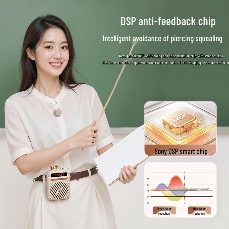 Soaiy S5 Wireless Portable Voice Amplifier with Microphone CN Plug (adapter Included)