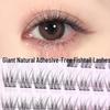 Self-Adhesive Glue-Free Fishtail Sunflower False Eyelashes - Natural Single Cluster Segmented Eyelashes for Beginners