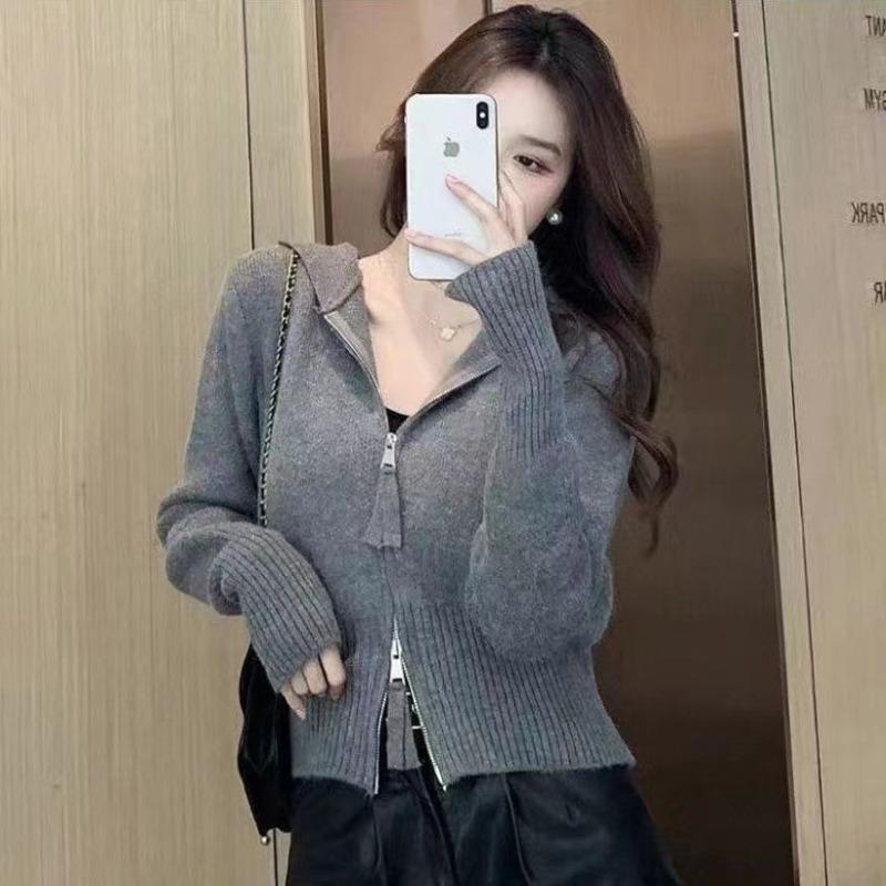 Blue Knitted Zipper Shirt Women's Autumn New Hooded Jacket Short Super Small Jacket Sweater