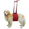 Köpek Arka Bacak Destek Koşumu Yaşlı veya Yaralı Köpekler İçin Ayarlanabilir Hareketlilik Yardımcısı Küçük Orta Büyük Irklar