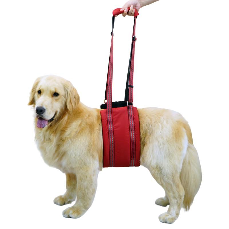 Köpek Arka Bacak Destek Koşumu Yaşlı veya Yaralı Köpekler İçin Ayarlanabilir Hareketlilik Yardımcısı Küçük Orta Büyük Irklar